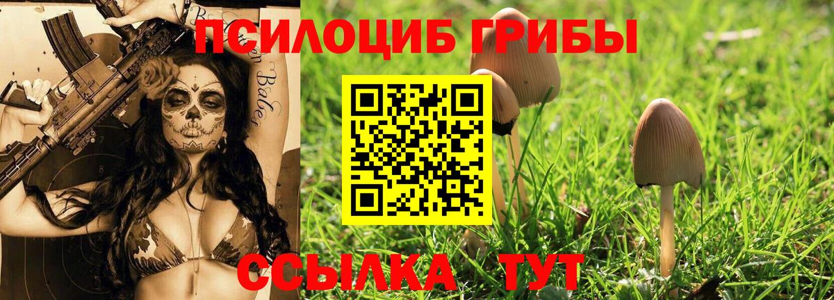 Галлюциногенные грибы мухоморы Кизляр